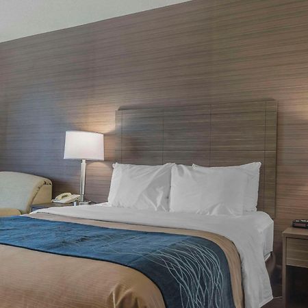 לוויס Comfort Inn מראה חיצוני תמונה