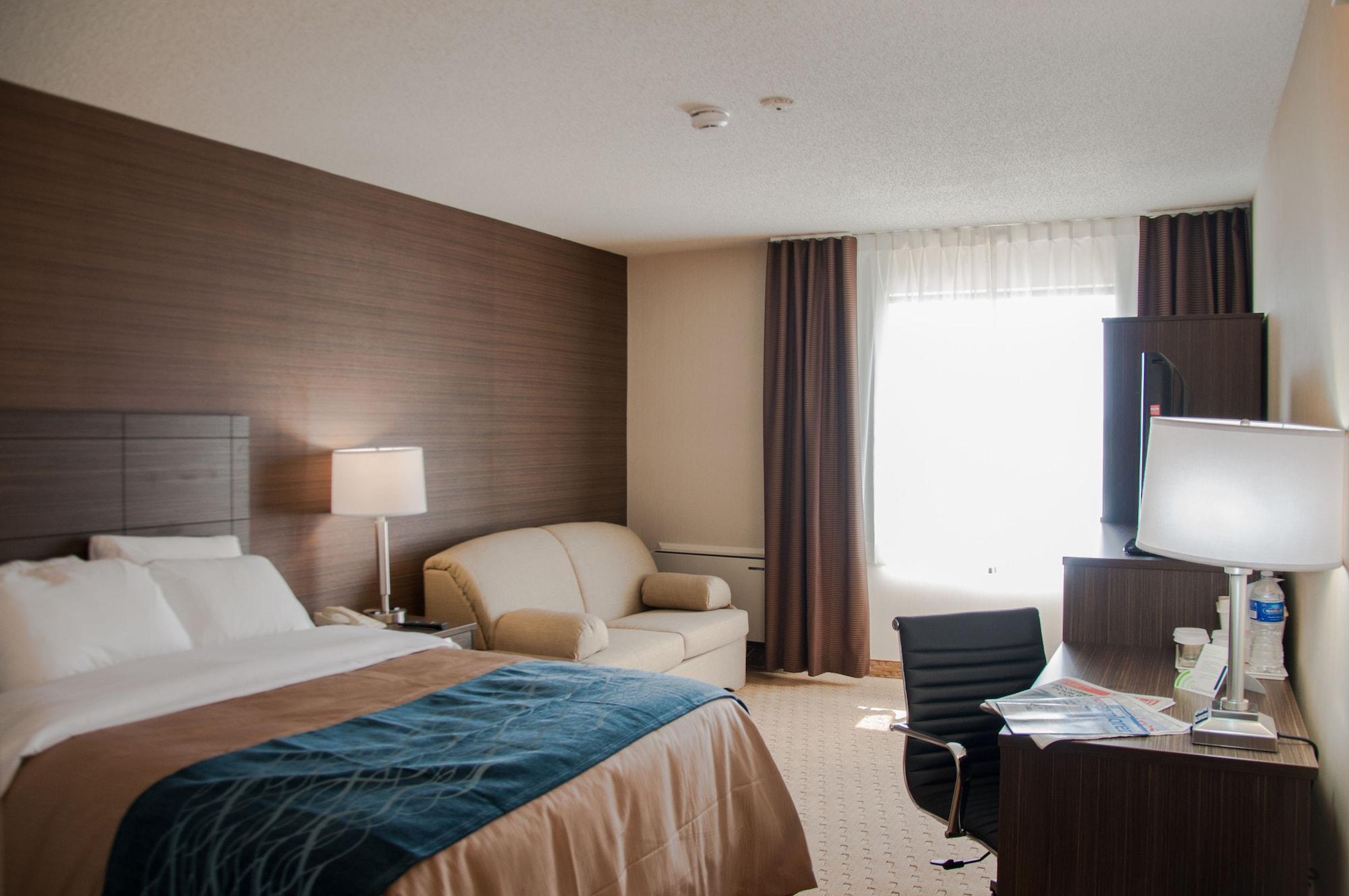 לוויס Comfort Inn מראה חיצוני תמונה