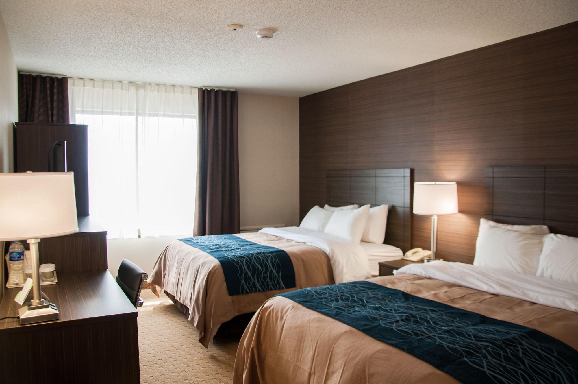 לוויס Comfort Inn מראה חיצוני תמונה