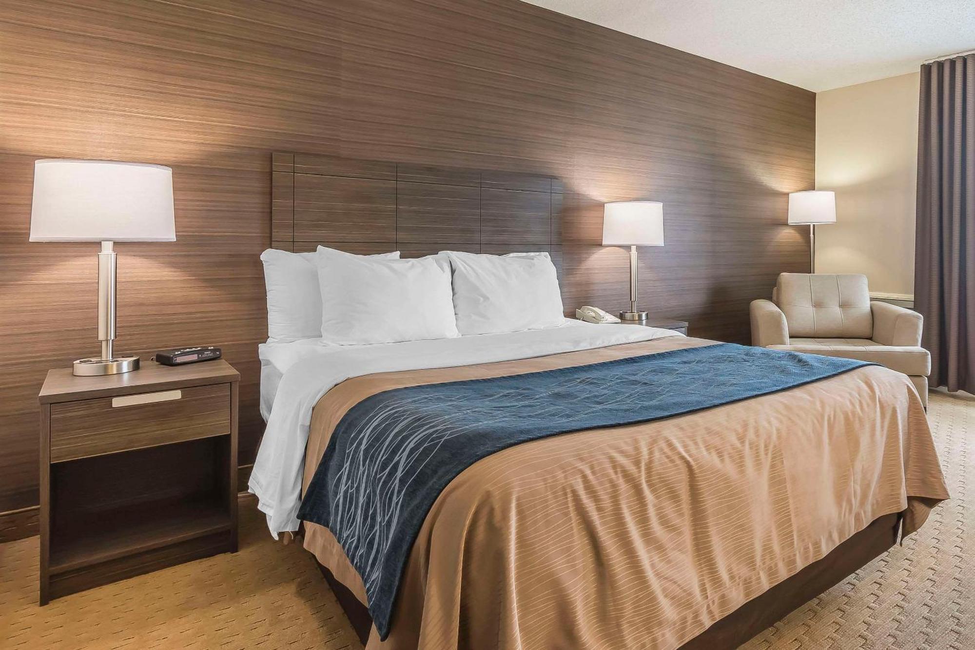 לוויס Comfort Inn מראה חיצוני תמונה