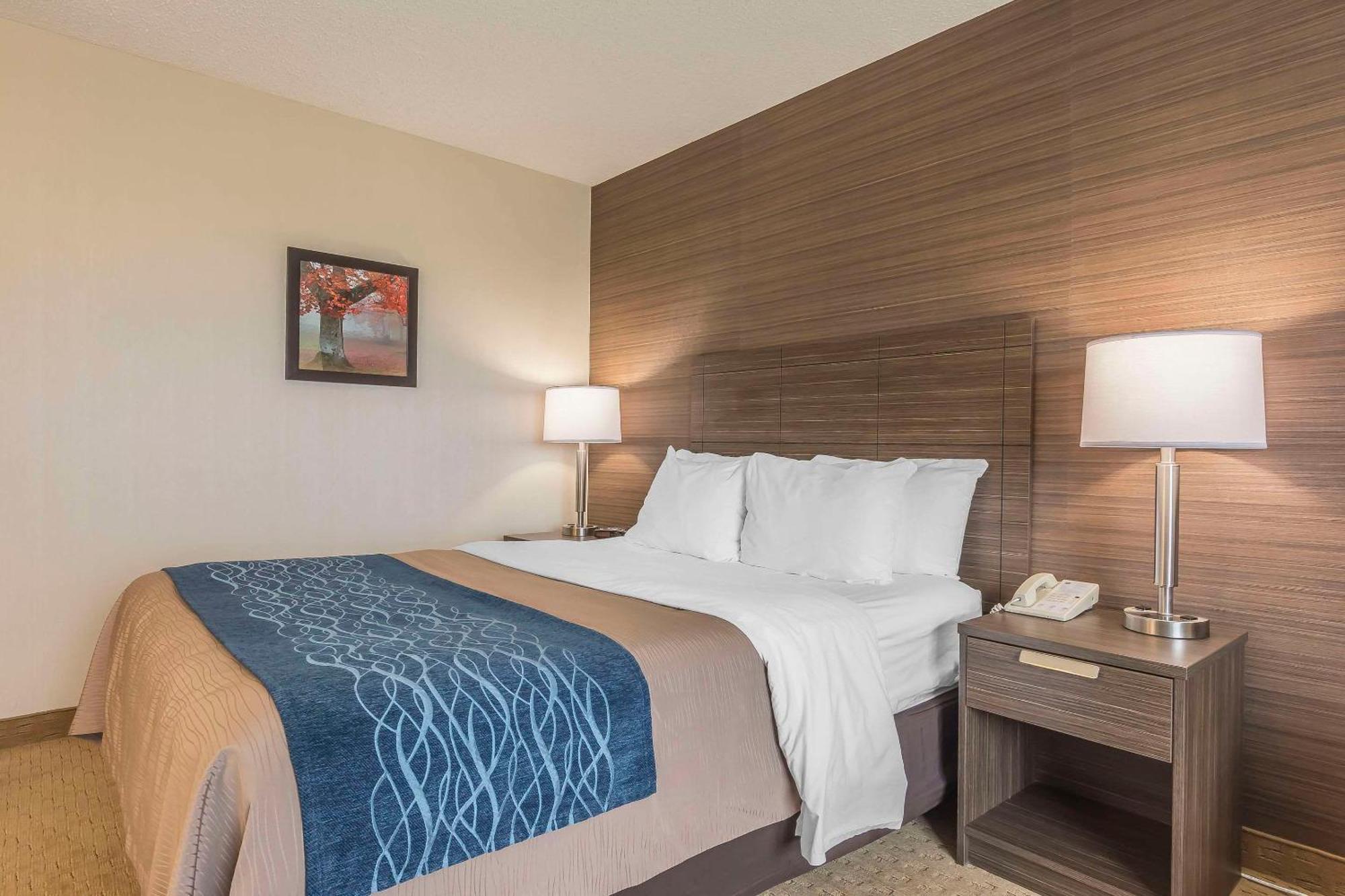 לוויס Comfort Inn מראה חיצוני תמונה