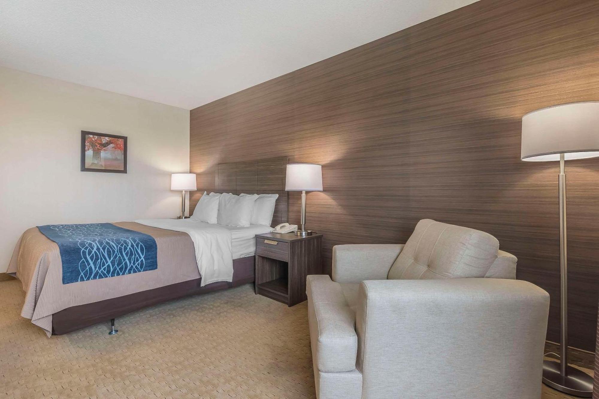 לוויס Comfort Inn מראה חיצוני תמונה
