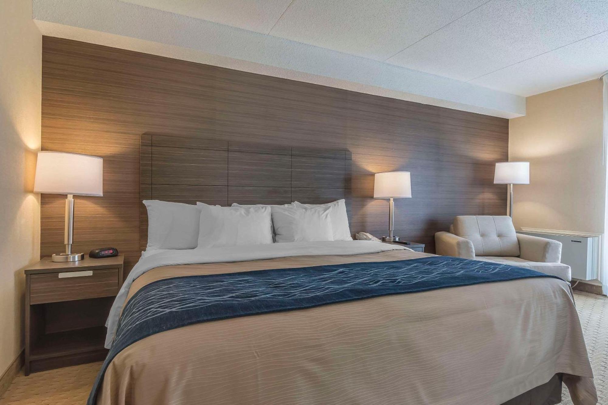 לוויס Comfort Inn מראה חיצוני תמונה