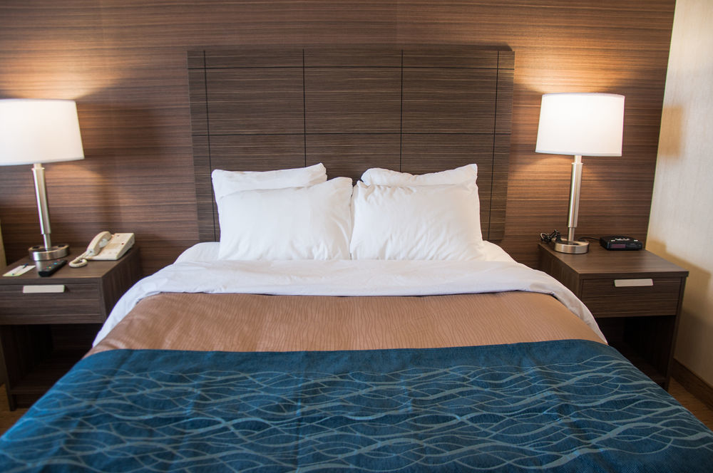 לוויס Comfort Inn מראה חיצוני תמונה