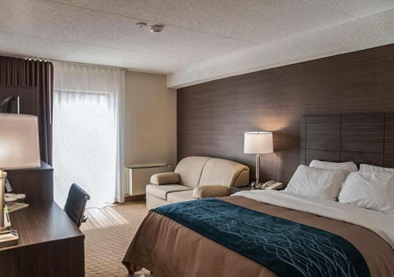 לוויס Comfort Inn מראה חיצוני תמונה