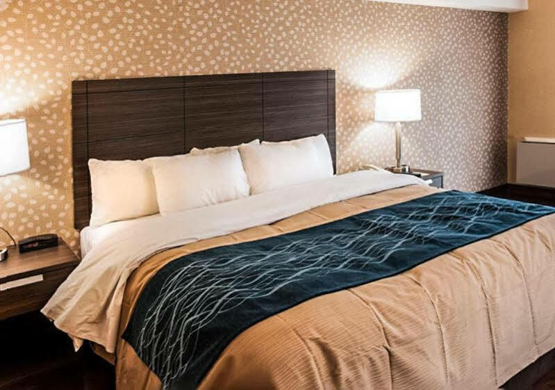 לוויס Comfort Inn מראה חיצוני תמונה