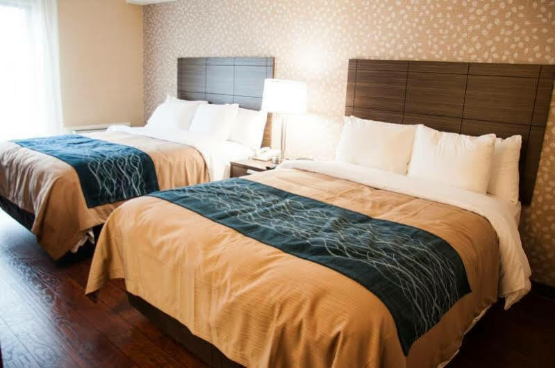 לוויס Comfort Inn מראה חיצוני תמונה