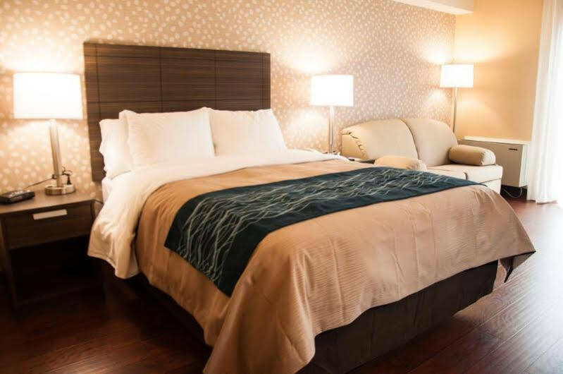 לוויס Comfort Inn מראה חיצוני תמונה