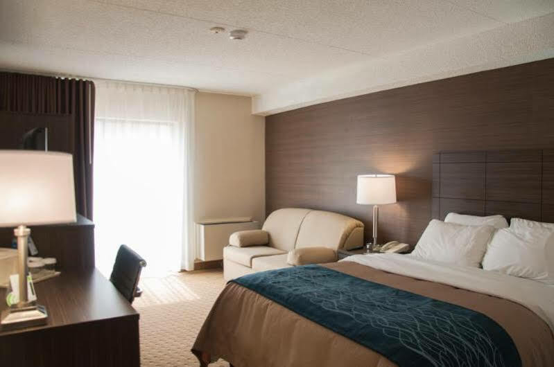 לוויס Comfort Inn מראה חיצוני תמונה